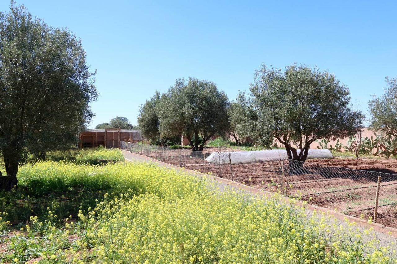 מרקש Villa Kristy מראה חיצוני תמונה